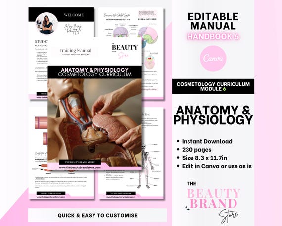 Cosmetology Curriculum: Anatomy & Physiology Training Manual (Canva Template Digital Download)