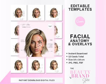 Facial Anatomy Bundle: Muscles, Arteries, Veins, Nerves - Canva Templates (Digital Download)