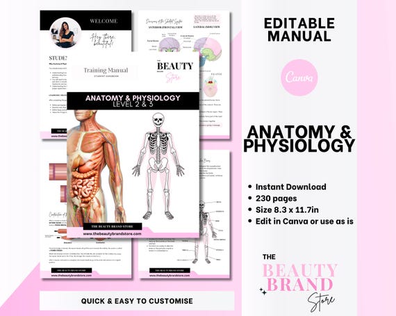 Anatomy & Physiology Training Manual: Editable Canva Template (Digital Download)