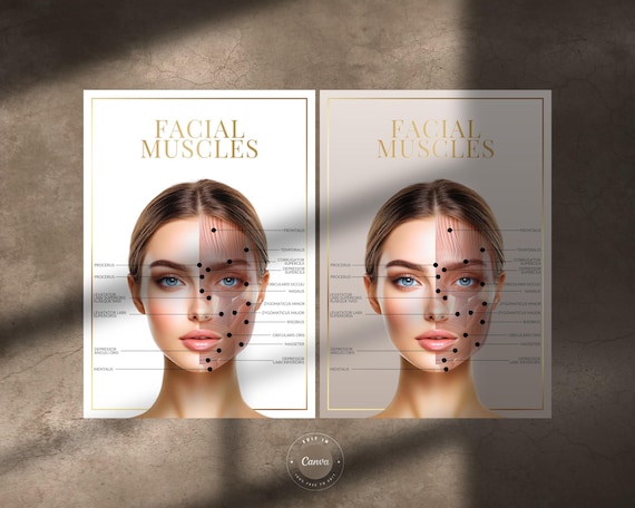 Facial Muscles Anatomy A4 Digital Print: Aesthetics Client or Medical Spa Decor | JPG, PNG, Editable in Canva