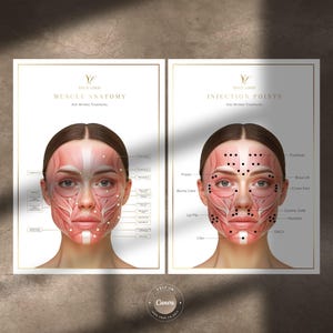 Botox Injection Points, Facial Muscles, A4 Reference Guide (canva ...