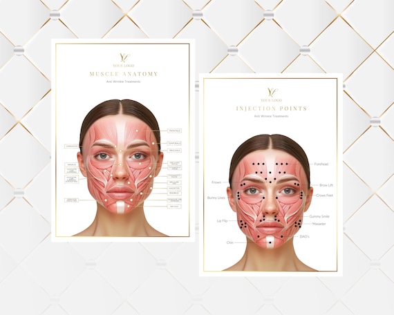 Botox Injection Points, Facial Muscles, A4 Reference Guide (Canva Editable Digital Download)