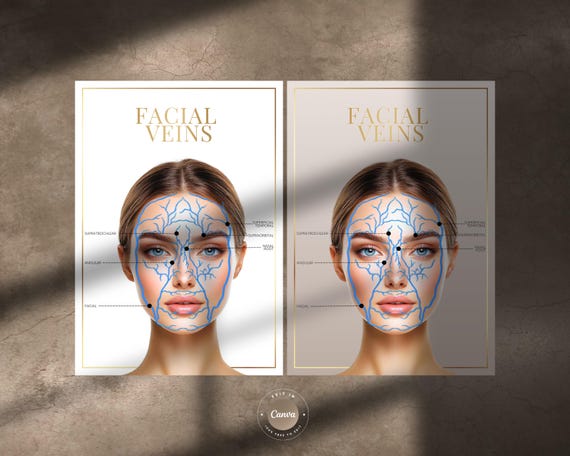 Facial Veins Anatomy A4 Digital Print: Aesthetics Client or Medical Spa Decor | JPG, PNG, Editable in Canva