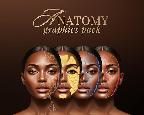 Facial Anatomy Print Set, Veins, Muscles, Nerves, Skull (Canva Template Digital Download A4 A2