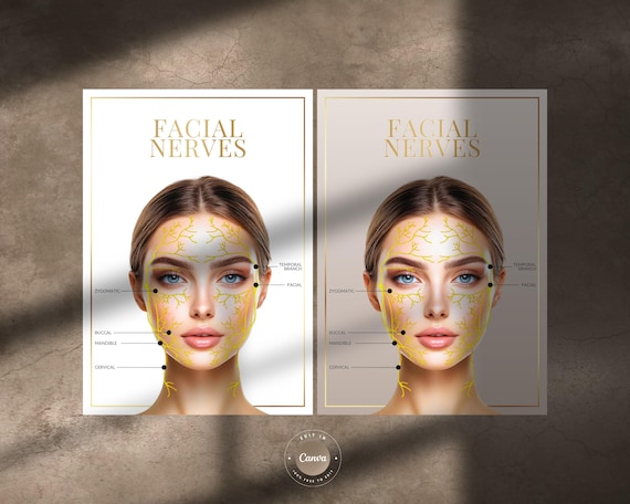 Facial Nerves Anatomy A4 Digital Print: Aesthetics Client or Medical Spa Decor | JPG, PNG, Editable in Canva