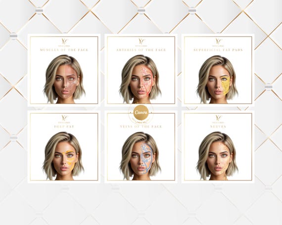 Facial Anatomy Overlay Templates: Muscles, Veins, Nerves - Editable Canva (Digital Download)
