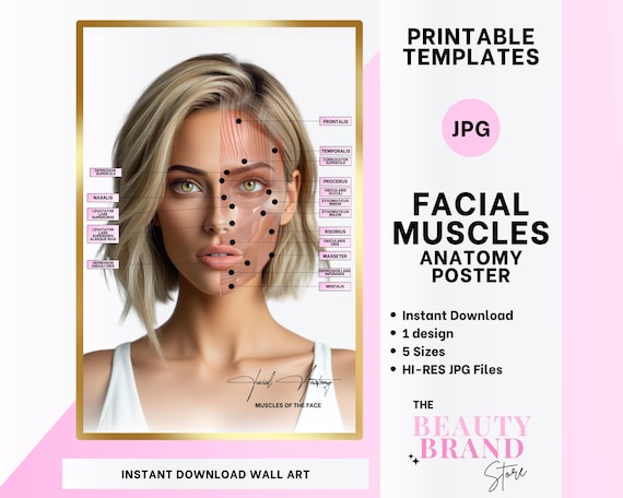 Muscles of the Face Poster, Female, Digital Art, Facial Anatomy, Aesthetics Clinic, Medical Spa, Neuroxins, Dermal Fillers, 5 Sizes, PNGs