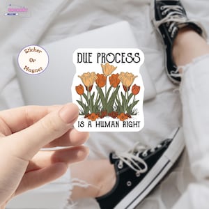Due Process is a Human Right Anti Trump Sticker/Car Magnet, Anti-Authoritarian Sticker, Save Democracy Sticker, I Love Due Process Sticker