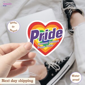 Pride Removes Stubborn Orange Stains Sticker/Car Magnet, Pride Month LGBTQ Sticker, Funny Anti Trump LGBTQ Sticker, Pride Sticker, FDT
