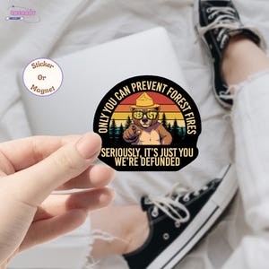 Only You Can Prevent Forest Fires sticker/Car Magnet, Protect Our Parks Magnet Anti Fascism Bumper Sticker, Leftist Magnet