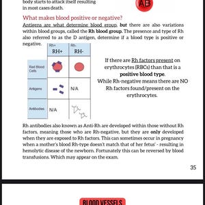Puede incluir: Diagrama educativo que explica los grupos sangu&iacute;neos, los factores Rh y los ant&iacute;genos. Incluye una tabla que compara los grupos sangu&iacute;neos Rh+ y Rh-, con ilustraciones de gl&oacute;bulos rojos y anticuerpos. El texto explica la determinaci&oacute;n del grupo sangu&iacute;neo.
