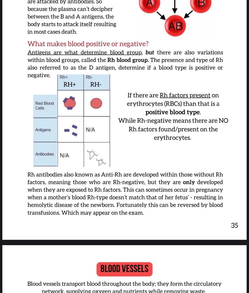 Puede incluir: Diagrama educativo que explica los grupos sangu&iacute;neos, los factores Rh y los ant&iacute;genos. Incluye una tabla que compara los grupos sangu&iacute;neos Rh+ y Rh-, con ilustraciones de gl&oacute;bulos rojos y anticuerpos. El texto explica la determinaci&oacute;n del grupo sangu&iacute;neo.
