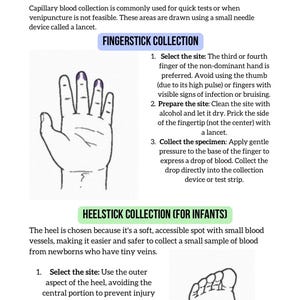 Puede incluir: Una gu&iacute;a ilustrada sobre la toma de muestras de sangre capilar, incluyendo m&eacute;todos de punci&oacute;n en el dedo y en el tal&oacute;n. La imagen muestra diagramas de una mano y un pie, con instrucciones para la selecci&oacute;n del sitio y la recogida de la muestra.