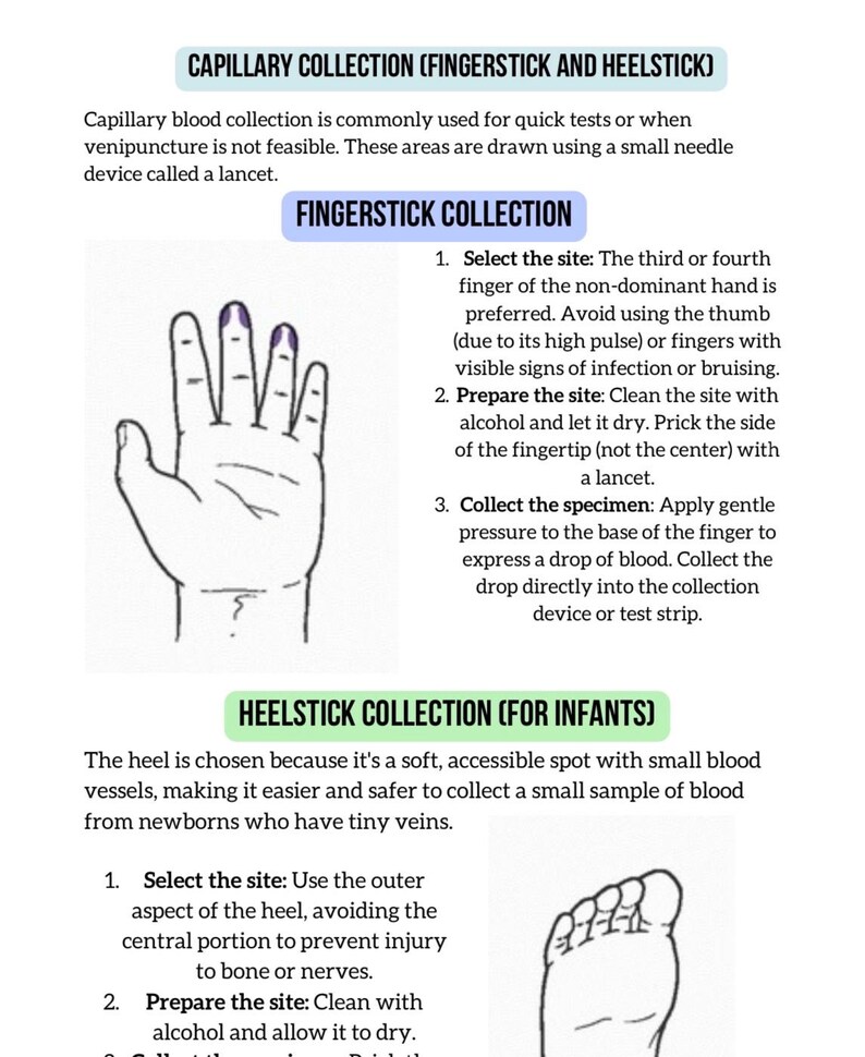 Puede incluir: Una gu&iacute;a ilustrada sobre la toma de muestras de sangre capilar, incluyendo m&eacute;todos de punci&oacute;n en el dedo y en el tal&oacute;n. La imagen muestra diagramas de una mano y un pie, con instrucciones para la selecci&oacute;n del sitio y la recogida de la muestra.