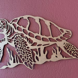 Tortoise