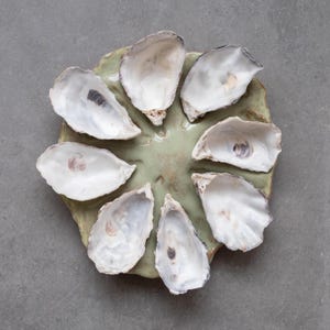 May include: A round, light green ceramic serving platter with a textured, organic edge, arranged with seven empty, white, pearlescent oyster shells positioned in a circular pattern around the center of the dish.