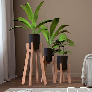 Puede incluir: Tres plantas en macetas con follaje verde se exhiben en soportes de madera. Los soportes tienen un diseño minimalista. La imagen también incluye un sofá, una mesa de centro y obras de arte. Las palabras "DIGITAL FILE" están en la parte inferior de la imagen.