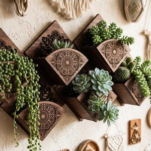 May include: A set of five dark brown wooden wall planters arranged in a diamond pattern. Each planter features a laser-cut mandala design on the front and holds various green succulents, including a trailing string of pearls plant.