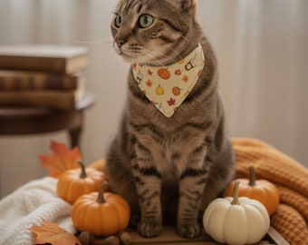 Kleine crème-oranje kattenbandana van biologisch katoen: overkraag pompoenkruidenprint