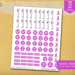 Testicular cancer planner stickers, Cancer Treatment stickers, Cancer patient gift, Caregiver Gift, Cancer mom gift