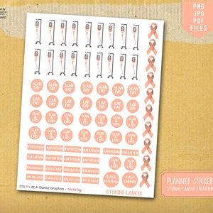 Uterine cancer planner stickers, Cancer treatment stickers, Cancer patient gift, Caregiver gift, chemotherapy gift