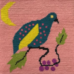 DOTTY DOVE Bird Beginner 9X9 Printed Canvas Needlepoint Kit Includes DMC Tapestry Wool