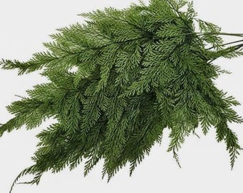 May include: A sprig of artificial greenery with a dense arrangement of small, dark green leaves. The leaves are arranged along thin, dark stems, creating a full, textured appearance. The plant is set against a plain white background.