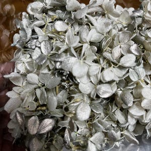 Könnte beinhalten: Nahaufnahme eines Straußes getrockneter Hortensien. Die Blüten sind in Metallic-Silber bemalt, mit einer Mischung aus Texturen und Formen. Die Blütenblätter sind geschichtet und zusammengefasst, wodurch ein voller und strukturierter Eindruck entsteht.