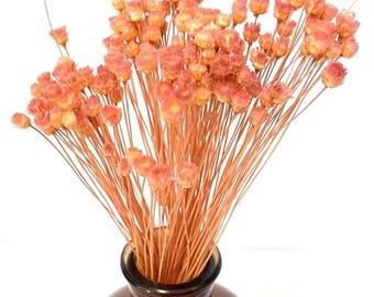 Flores secas alegres en rosa clásico: arreglo floral DIY