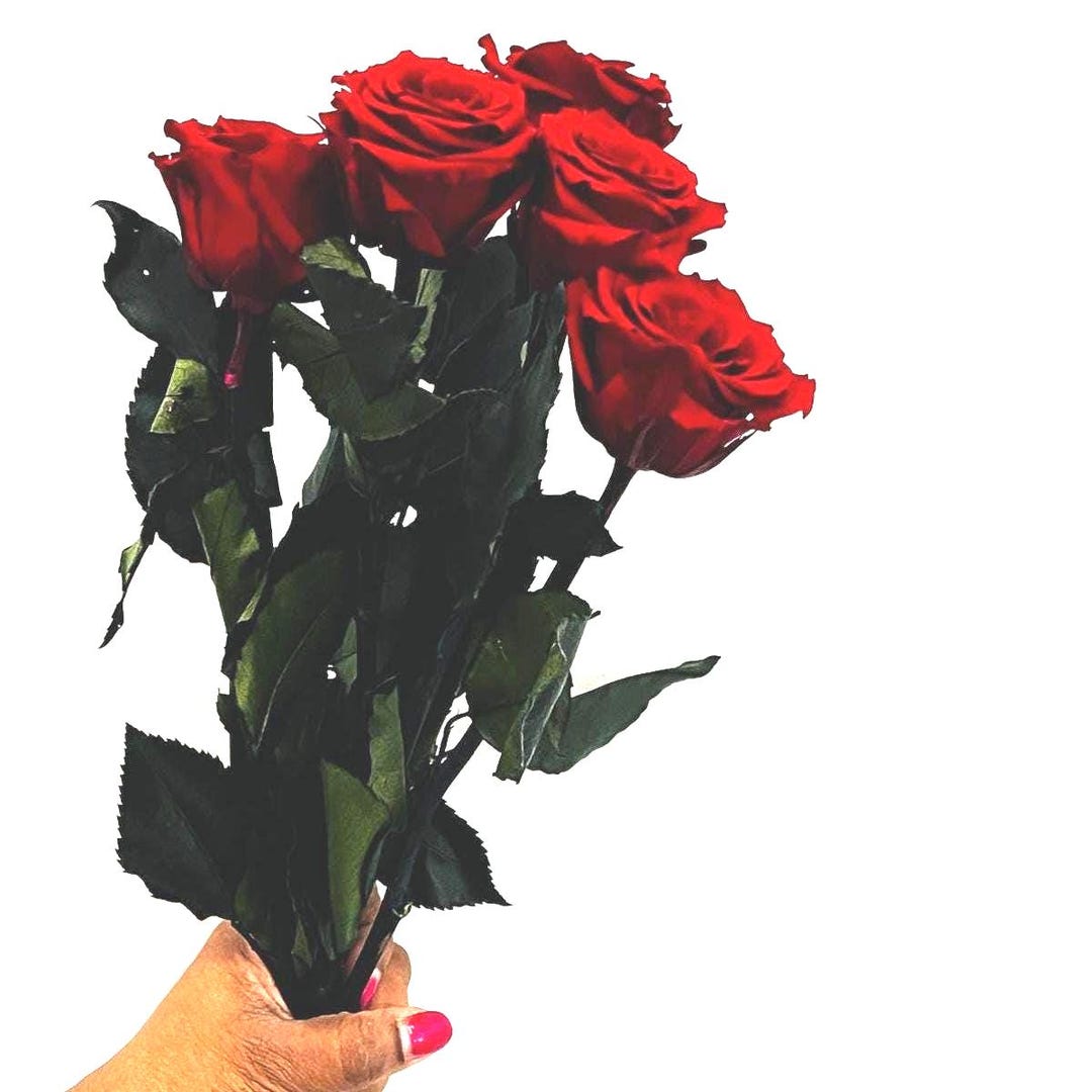 Medium Roses Japanese Preserved Medium Roses on Stems in Red, Rose Fleurs, DIY ...