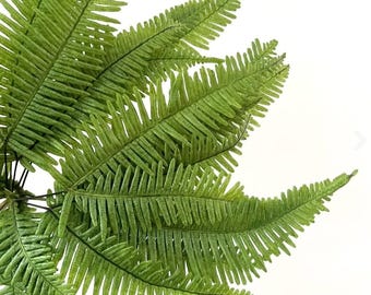 May include: Close-up of bright green fern fronds with detailed leaf patterns. The leaves have a textured appearance and are arranged to create a full, natural look. Suitable for adding a touch of nature to home decor or craft projects.