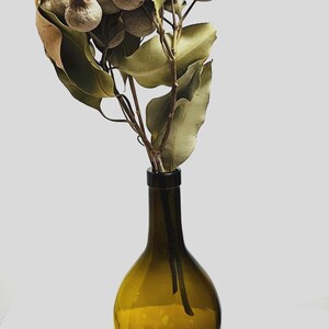 Bell Gum Stem With Leaves in Natural. Dried Eucalyptus Flower, Flower ...