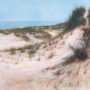 Summer Path