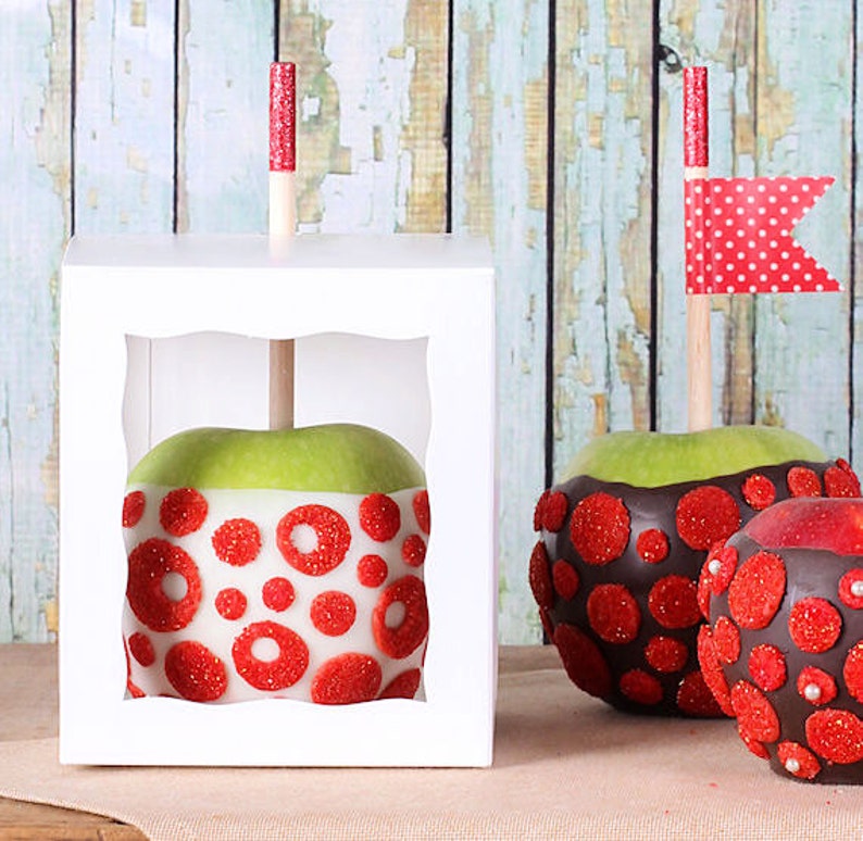 White Candy Apple Box Kit White Caramel Apple Boxes Apple Etsy