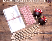 Christmas Cake Pop Kit: Mini Cellophane Bags, Red Striped Twist Ties & Rock Candy Sticks, Marshmallow Pops Kit, Lollipop Kit (18 ct)