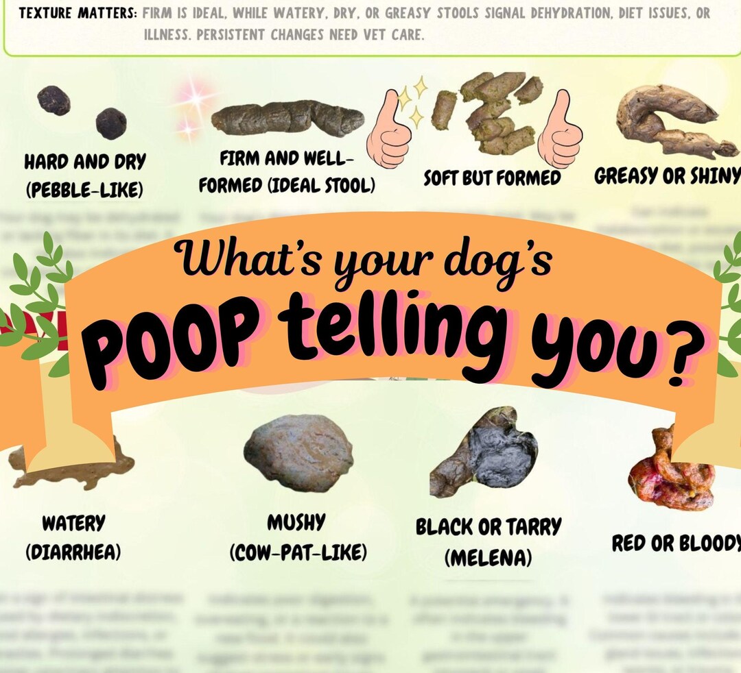 Puppy Potty Training Tracker & Poop Chart Guide | Dog Toilet Training ...