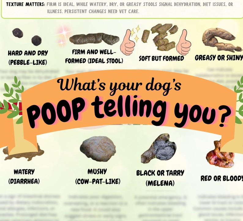 Puppy Potty Training Tracker & Poop Chart Guide | Dog Toilet Training ...