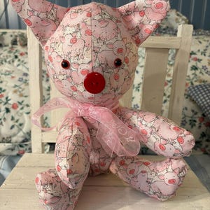Paula the Pig