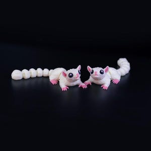 May include: Two white sugar gliders with pink noses and large black eyes are facing each other. The sugar gliders have long, segmented tails.