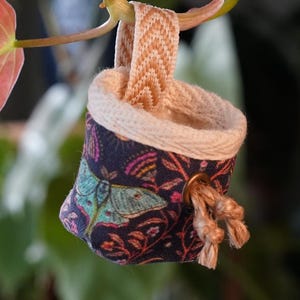 Blue Moth - Mini-Kletterbeutel für Kletterpflanzen