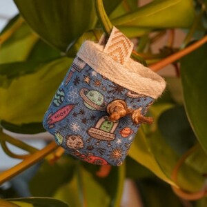 Könnte beinhalten: Ein kleiner, blauer Stoffbeutel mit einem Weltraum-Muster, einschließlich Planeten und Raketen, hängt an einer Pflanze. Der Beutel hat einen beigen Rand und einen Kordelzugverschluss. Die Pflanze hat große, grüne Blätter.