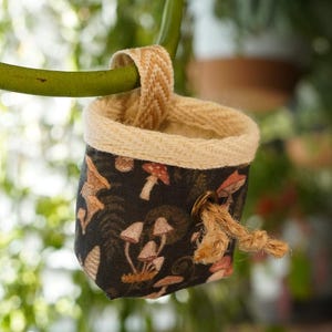 Midnight Mushrooms - Mini-Kletterkreidebeutel für Kletterpflanzen