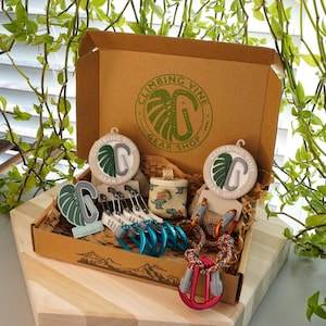 Könnte beinhalten: Ein brauner Karton mit dem Logo "Climbing Vine Gear Shop" auf der Oberseite. Die Box ist geöffnet und enthält verschiedene Kletterausrüstung, darunter Karabiner, Seil und eine kleine Tasche mit Dinosaurier-Motiv.