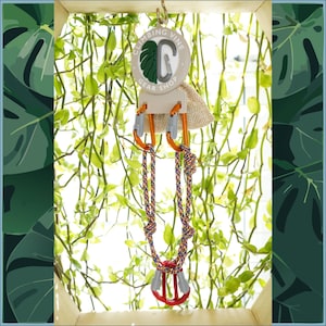 Könnte beinhalten: Ein Set Kletterausrüstung, das an einem Holzrahmen hängt. Die Ausrüstung umfasst zwei Karabiner, ein Seil und ein rotes Sicherungsgerät. Der Rahmen trägt ein Schild mit der Aufschrift "Climbing Vine Gear Shop".