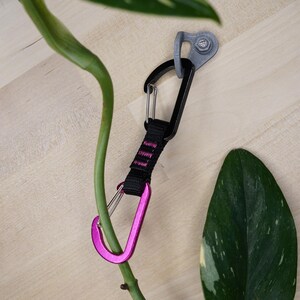 Könnte beinhalten: Ein rosa und schwarzer Karabiner mit einem schwarzen Band, das an einem grauen Wandhaken befestigt ist. Im Hintergrund befindet sich eine grüne Pflanze mit panaschierten Blättern.