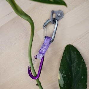 Könnte beinhalten: Ein lila und silberner Kletter-Express mit einem lila Gurtband, das an einem silbernen Karabiner befestigt ist. Der Express hängt an einem silbernen Schraubhaken auf einer hellbraunen Holzoberfläche. Im Hintergrund befindet sich eine grüne Pflanze mit weißen Flecken.