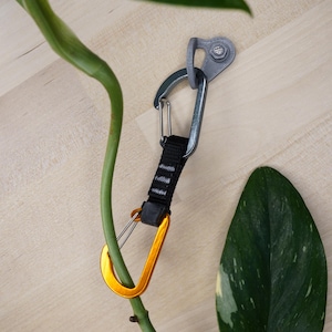 Gold & Schwarzes Mini Rock Klettern Express Ausrüstung Set für Kletterpflanzen