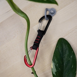 Könnte beinhalten: Ein roter und schwarzer Karabinerhaken, der an einer Pflanze mit einem grauen Haken auf einer Holzoberfläche befestigt ist.