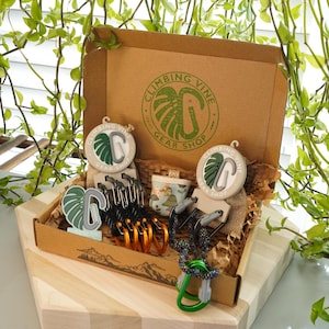 Könnte beinhalten: Ein brauner Karton mit der Aufschrift "Climbing Vine Gear Shop" auf der Oberseite. Die Box ist gefüllt mit verschiedenen Kletterausrüstungen, darunter Karabiner, Seil und eine kleine Tasche. Die Box ist von grünen Pflanzen umgeben.