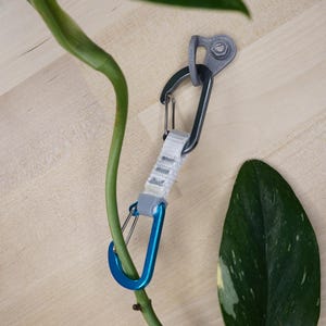 Könnte beinhalten: Ein blauer und grauer Kletterkarabiner mit einem weißen Gurtband, das an einem grauen Metallhaken befestigt ist. Der Karabiner hängt am Haken, der an einer Holzoberfläche befestigt ist. Im Hintergrund befindet sich eine grüne Pflanze mit panaschierten Blättern.